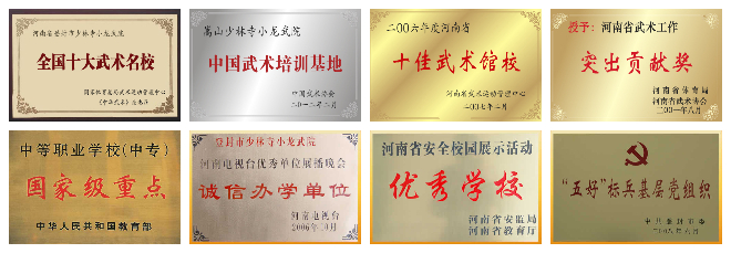 這么多家少林武校哪家正規(guī)?到底哪家是真的?如何分辨?【十佳武?！?>
  <h3><a href=
