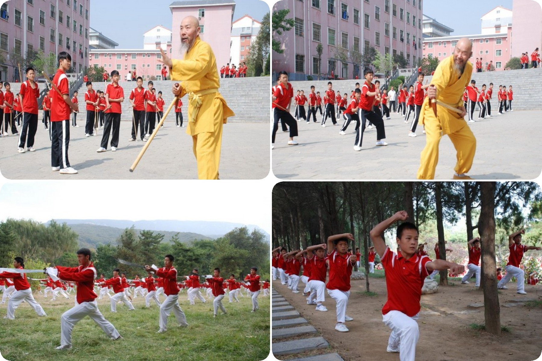 正規(guī)的少林武校地址在哪？