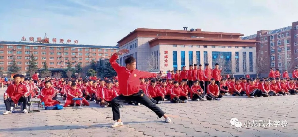 叛逆期的孩子可以送去嵩山少林武校習(xí)武嗎？