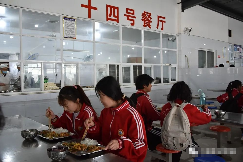 河南少林武校招生學費是多少一年？小龍武校學費多少錢