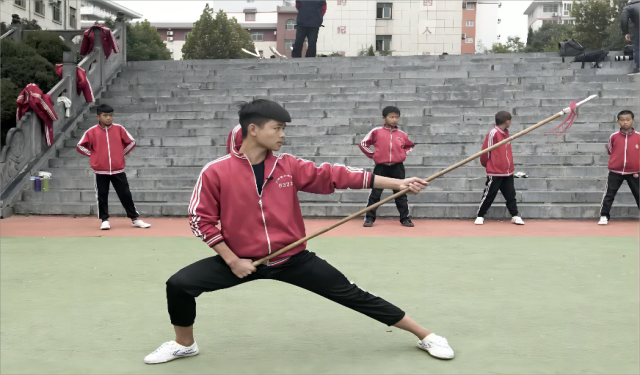 河南文武學(xué)?？梢詮?qiáng)制送進(jìn)去嗎？