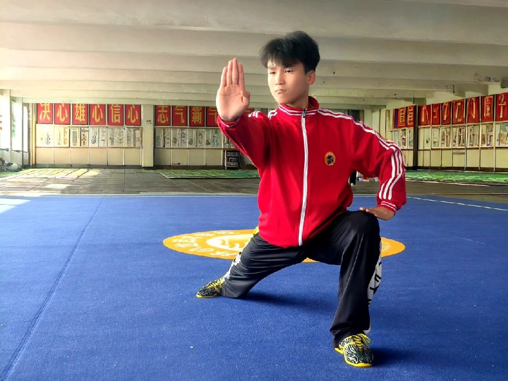 河南少林小龍武校學員生活日記