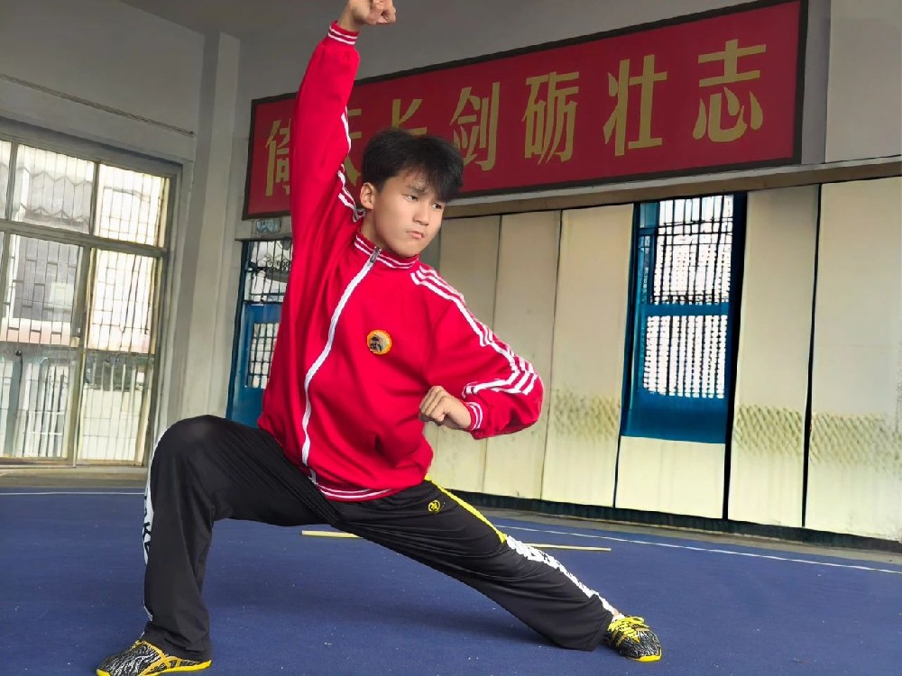 華裔少年走進河南少林小龍武校實現夢想