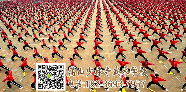 少林武術(shù)學(xué)校的學(xué)員在練武