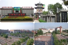 我想學(xué)武，去河南的哪家少林文武學(xué)校好呢？