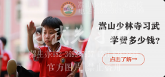 正規(guī)少林武校位置在河南什么地方？