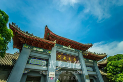 學武術能考河南哪個大學？[小龍文武]