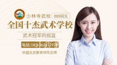 河南最好的嵩山少林文武學校哪家？