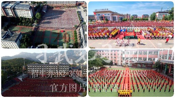 嵩山少林武術學校畢業(yè),少林小龍武校國家正規(guī)院校