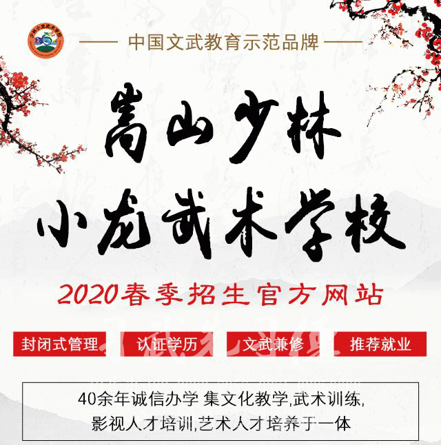 小孩子報名少林學(xué)校需要具備什么條件